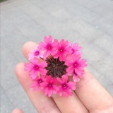 小湘妞儿