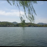 自由飞翔