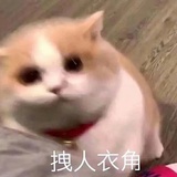 我车掉沟里了