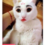 小pt呀