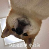 不穿秋裤的暖男