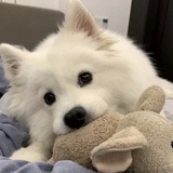 初