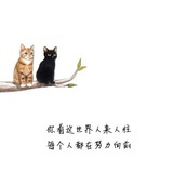 这就是圈圈