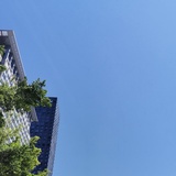 远方