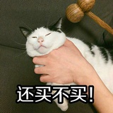 团子团子♡