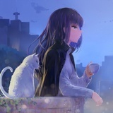 meow11