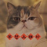 黄大仙在豆瓣