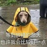 费佬