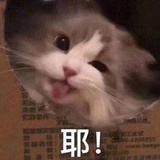 大骗子
