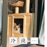 大怨种就是我