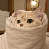 周北北