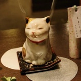 野生的人类