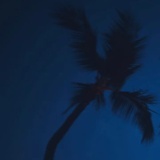 橙子