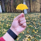 远航的深蓝色