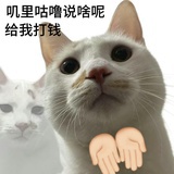 👸痛打落水狗