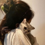 Shirwen