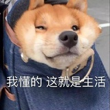 am