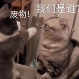 我也不知道我该