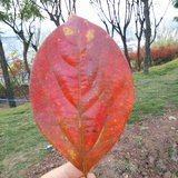 好好生活