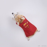 小洛