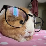 PotatoLover