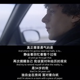 Evelyn马戏团