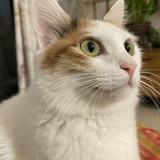 Judy