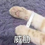 须须须须须臾