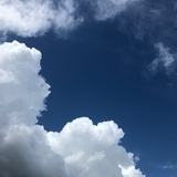阿逸多