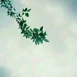 不四先生。