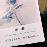 香菜小公举👸