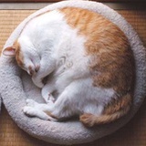 阿金