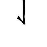 绿萝
