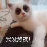提提就这样