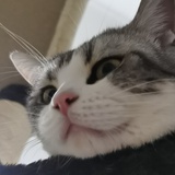 Linda