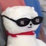 硬糖少女龙丹妮