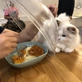 斯年