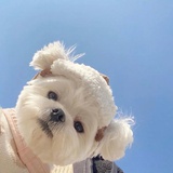 KIKIKIKO