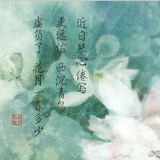 漫观