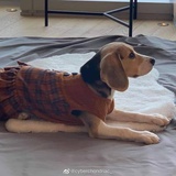 徐小米joki