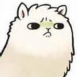 阳光明媚在家躺