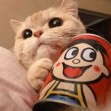 全油小烤鸡_