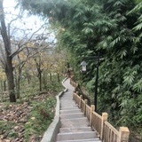 泥巴山