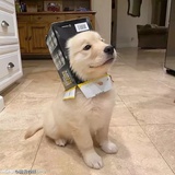 转山呀
