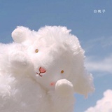 妙妙