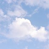 橘子真好吃