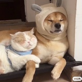 起什么名字呢