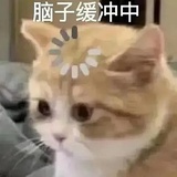 大风