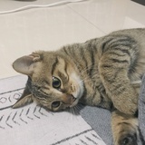 已注销