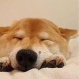 苍天饶过谁